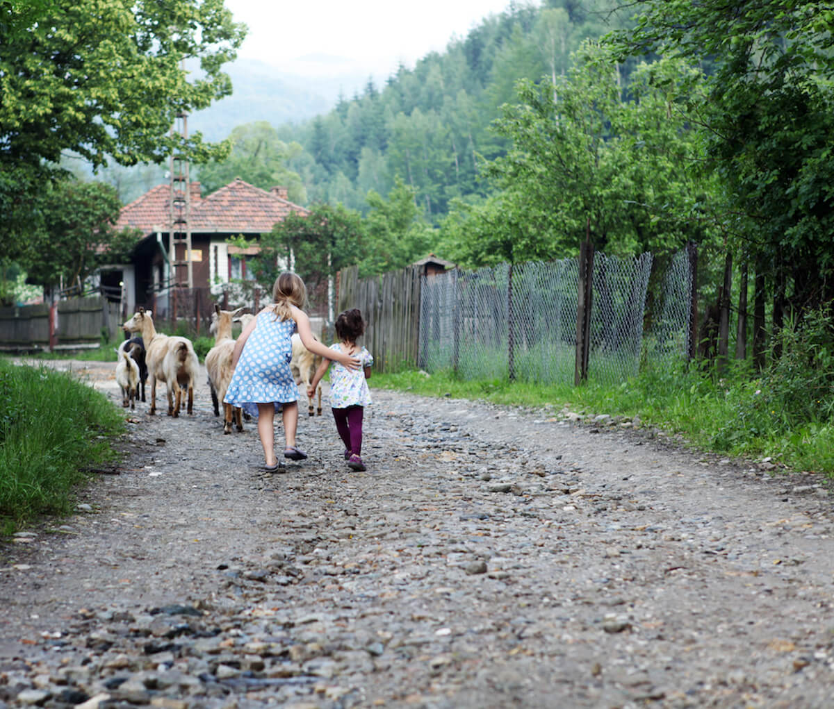 2012_summer_99